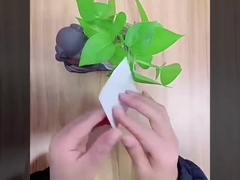 preparación elástico semitransparente de la película